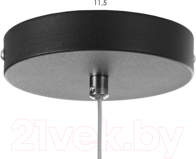 Потолочный светильник BayerLux Боунд / 9937146 (черный)
