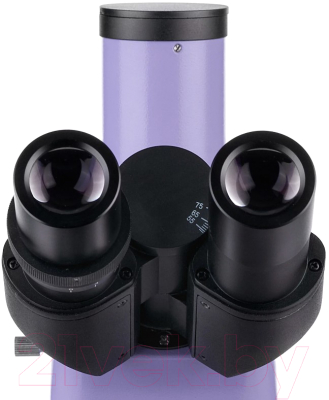 Микроскоп цифровой Magus Lum D400L / 83018