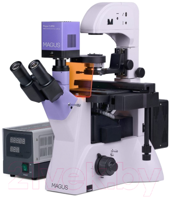 Микроскоп цифровой Magus Lum VD500 / 83020