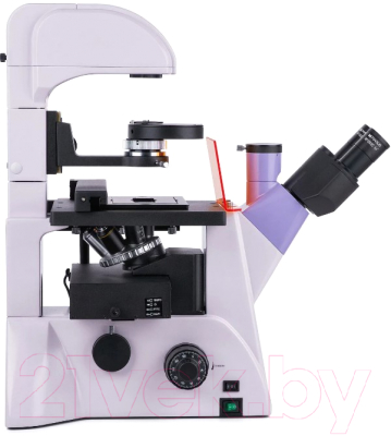 Микроскоп цифровой Magus Lum VD500L / 83022
