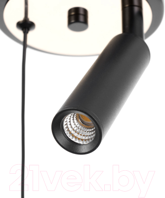 Потолочный светильник BayerLux Тори / 9626217 (черный)