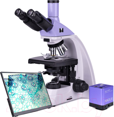 Микроскоп цифровой Magus Bio D230T LCD / 83005