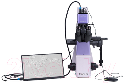 Микроскоп цифровой Magus Bio VD300 LCD / 83013