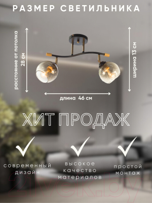 Спот Aitin-Pro НПБ 02-2x60-101 / XA1588B/2 (черный/золото)