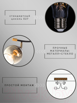 Спот Aitin-Pro НПБ 02-2x60-101 / XA1588B/2 (черный/золото)