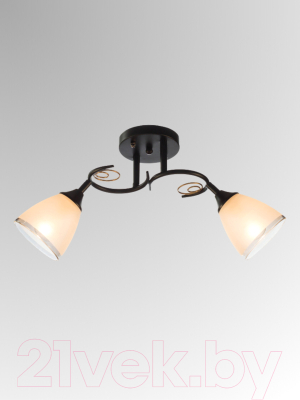 Изображение товара Потолочный светильник Aitin-Pro НПБ 02-2x60-101 / 70140/2 (черный)