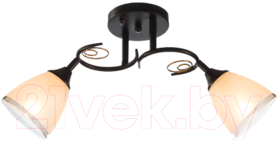 Изображение товара Потолочный светильник Aitin-Pro НПБ 02-2x60-101 / 70140/2 (черный)