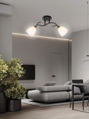 Изображение товара Потолочный светильник Aitin-Pro НПБ 02-2x60-101 / 70140/2 (черный)