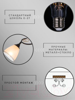 Изображение товара Потолочный светильник Aitin-Pro НПБ 02-2x60-101 / 70140/2 (черный)
