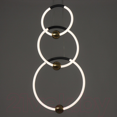 Потолочный светильник BayerLux Кольца / 9215229 (черный/золото)