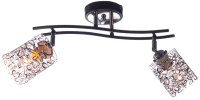 Потолочный светильник Aitin-Pro НПБ 02-2x60-101 / 2425/2 (хром/черный) - 