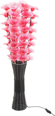 

Ночник, Кальмия / 9613509