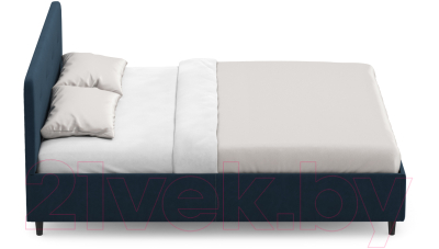 Купить Двуспальная кровать Moon Family 1253 / MF010465 в Бобруйске
