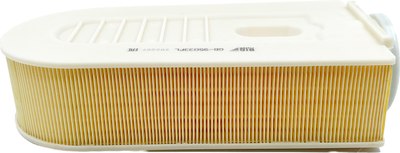 

Воздушный фильтр, GB-95033PL