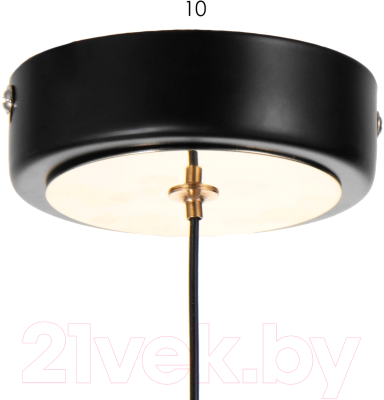 Потолочный светильник BayerLux Самбер / 9254652 (черный)