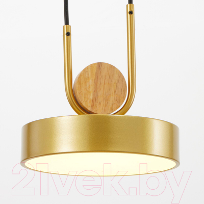 Изображение товара Потолочный светильник BayerLux 35425/1 / 4941226 (золотой)