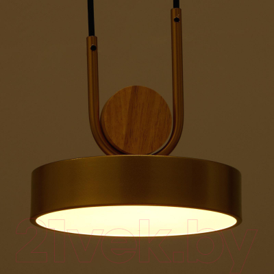 Изображение товара Потолочный светильник BayerLux 35425/1 / 4941226 (золотой)