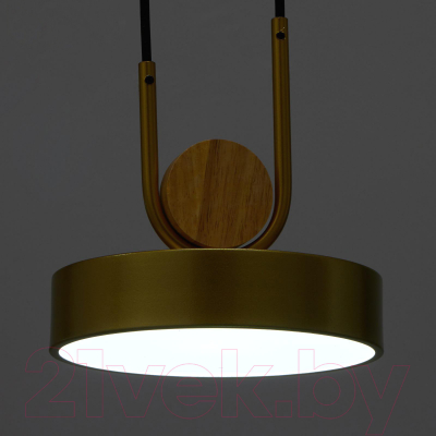 Изображение товара Потолочный светильник BayerLux 35425/1 / 4941226 (золотой)