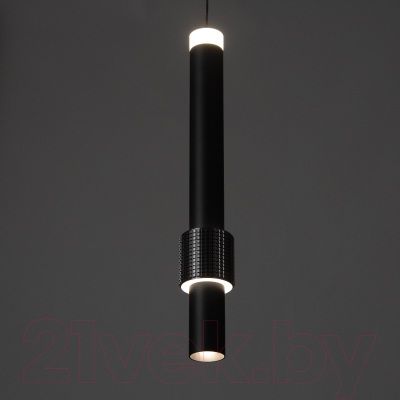 Потолочный светильник BayerLux Алекса / 9802173 (черный)