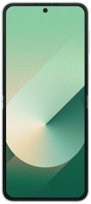 Смартфон Samsung Galaxy Z Flip6 12GB/256GB / SM-F741BLGGCAU (мятный)