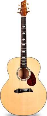 

Акустическая гитара, JM-800