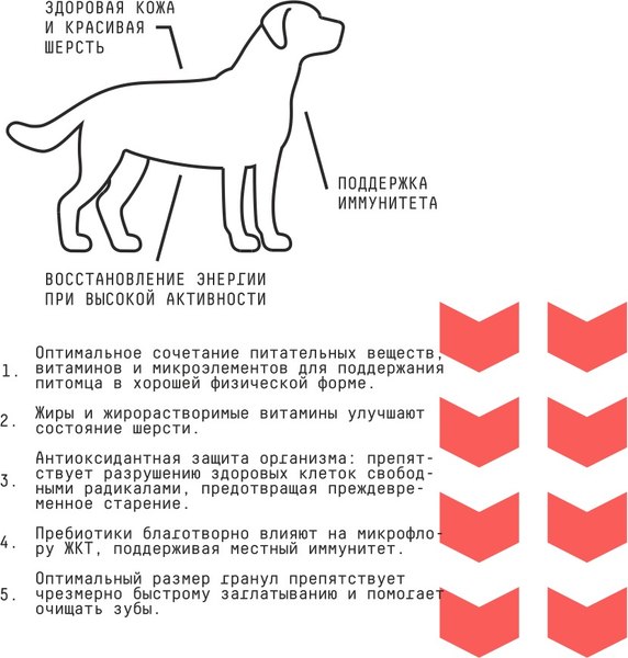 Сухой корм для собак AJO Medium Adult для взрослых собак ср. пород с говядиной и гречкой (2кг)