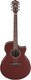 Электроакустическая гитара Ibanez AE100-BUF (винный) - 