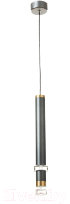 Потолочный светильник BayerLux Регент / 9802196 (серый)