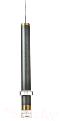 Потолочный светильник BayerLux Регент / 9802196 (серый)