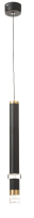 Потолочный светильник BayerLux Регент / 9802193 (черный) - 