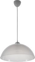 Потолочный светильник BayerLux Сафари 2 / 2832800 (прозрачный) - 