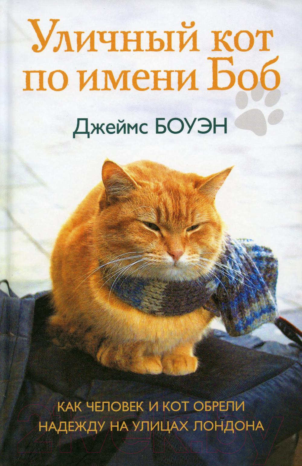 Книга Рипол Классик Уличный кот по имени Боб / 9785386106386