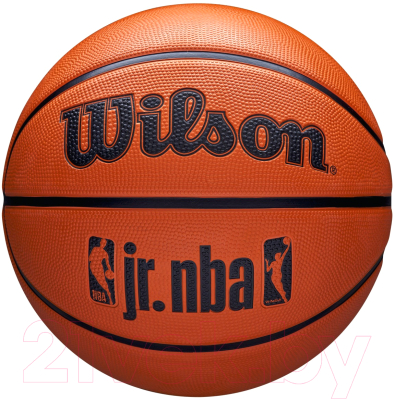 Баскетбольный мяч Wilson JR. NBA DRV Fam Logo / WZ3013001XB7 (размер 7)