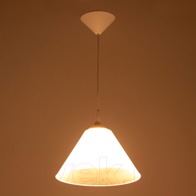 Изображение товара Потолочный светильник BayerLux Конус / 9175850 (белый/прозрачный)