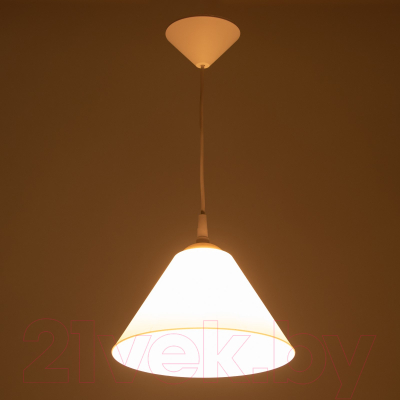 Изображение товара Потолочный светильник BayerLux Конус / 9175851 (белый)