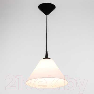 Изображение товара Потолочный светильник BayerLux Конус / 9175857 (черный/белый)