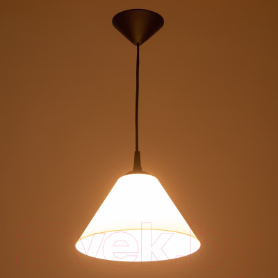 Изображение товара Потолочный светильник BayerLux Конус / 9175857 (черный/белый)