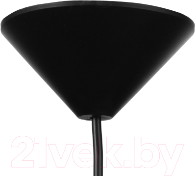 Изображение товара Потолочный светильник BayerLux Конус / 9175857 (черный/белый)