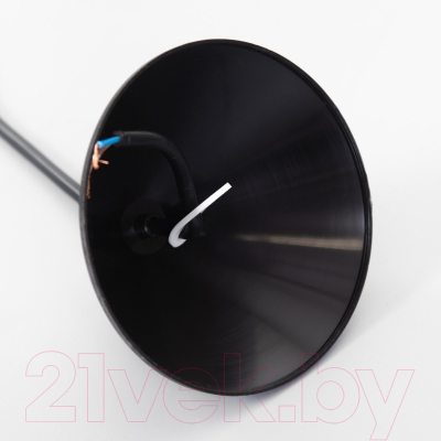 Изображение товара Потолочный светильник BayerLux Конус / 9175857 (черный/белый)