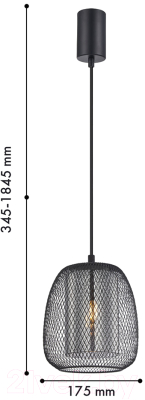 Потолочный светильник F-Promo 4349-1P