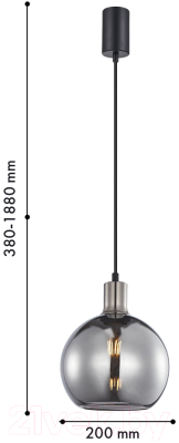 Потолочный светильник F-Promo 4355-1P