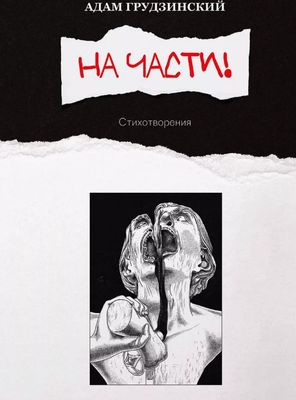 Книга Де'Либри На части! Твердая обложка (Грудзинский Адам)