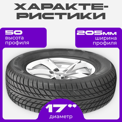 Зимняя шина Trazano SW608 205/50R17 93H XL