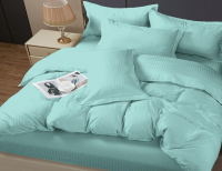 Комплект постельного белья PANDORA №1x1 12-5410 Светлая бирюза Евро-стандарт (микрофибра) - 