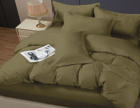 Комплект постельного белья PANDORA №1x1 17-0627 Оливковый 2сп с европростыней (микрофибра-страйп) - 