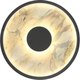 Светильник FAVOURITE 4446-2W - 
