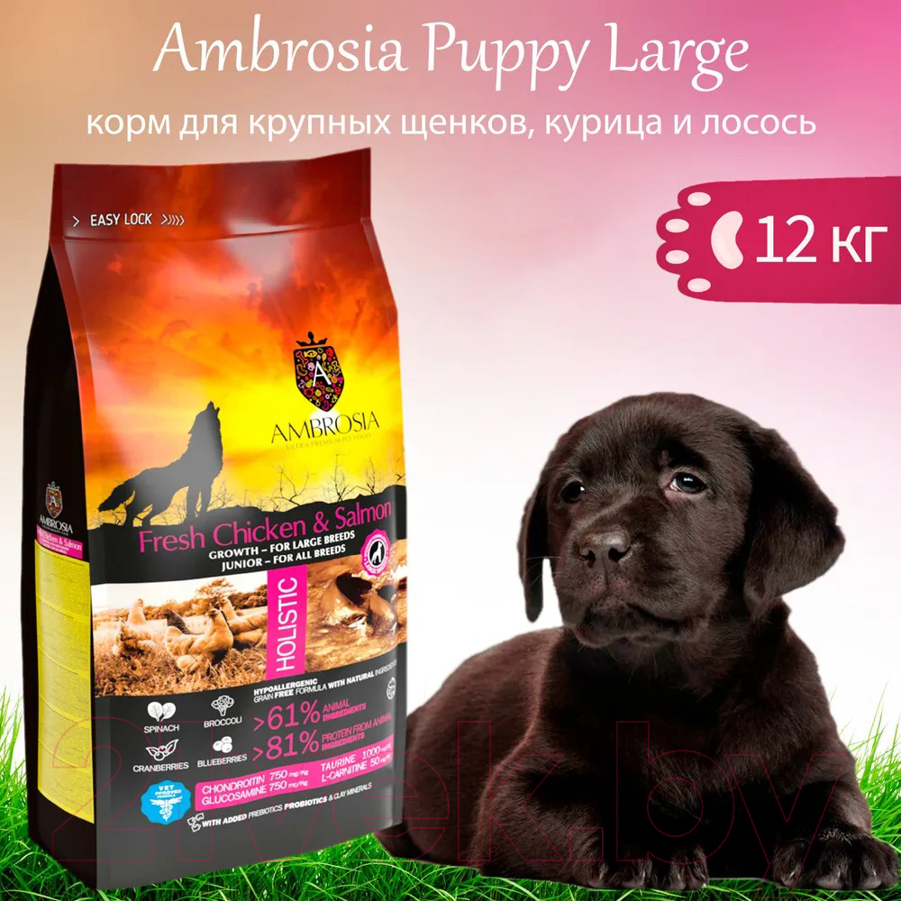 Сухой корм для собак Ambrosia Grain Free для щенков крупных пород курица и лосось / U/ACSL12 (12кг) — фото 3