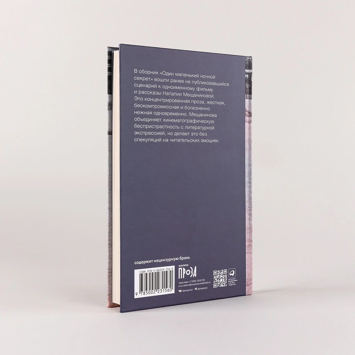 Художественная книга Альпина Один маленький ночной секрет твердая обложка (Мещанинова Наталия) — фото 3