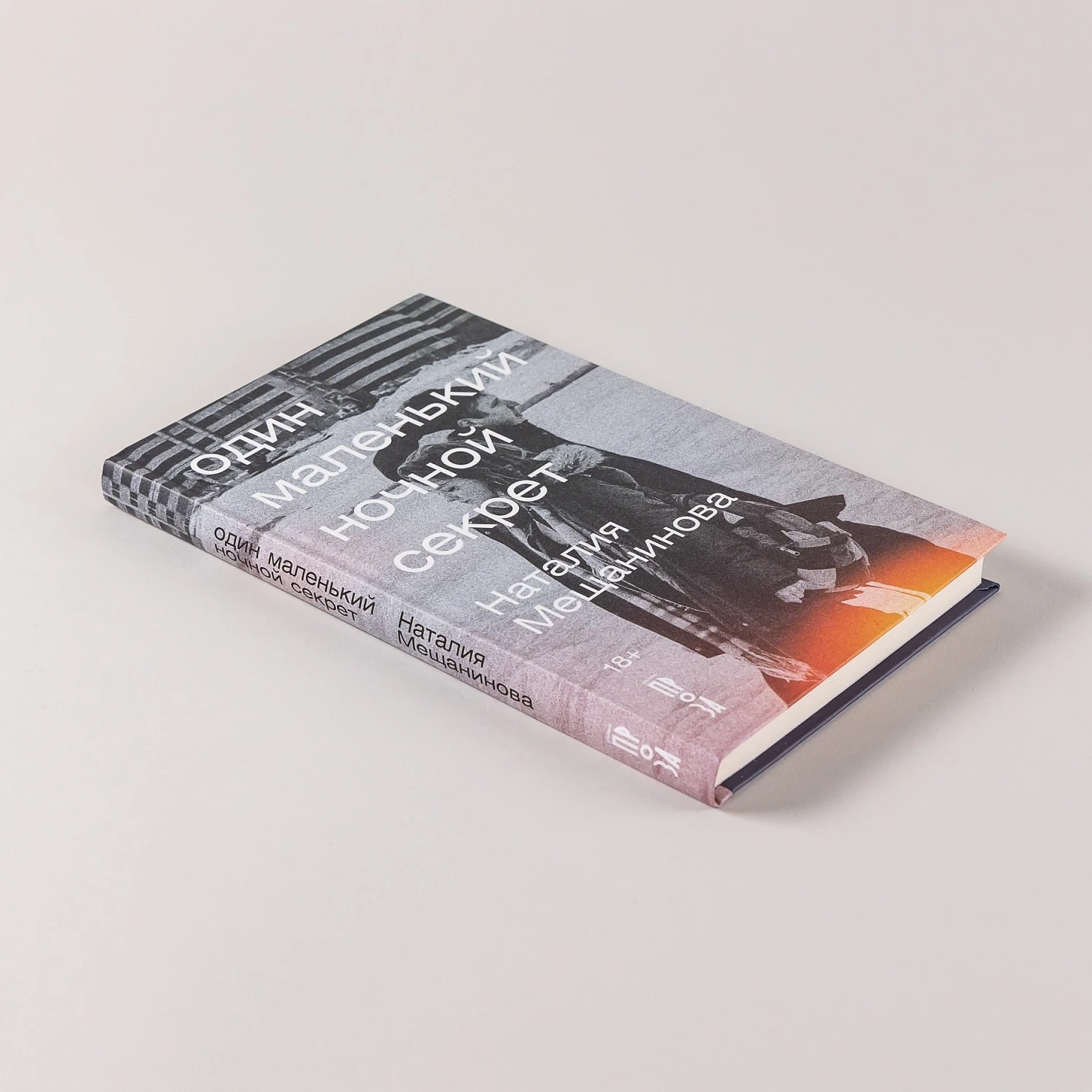 Художественная книга Альпина Один маленький ночной секрет твердая обложка (Мещанинова Наталия) — фото 4