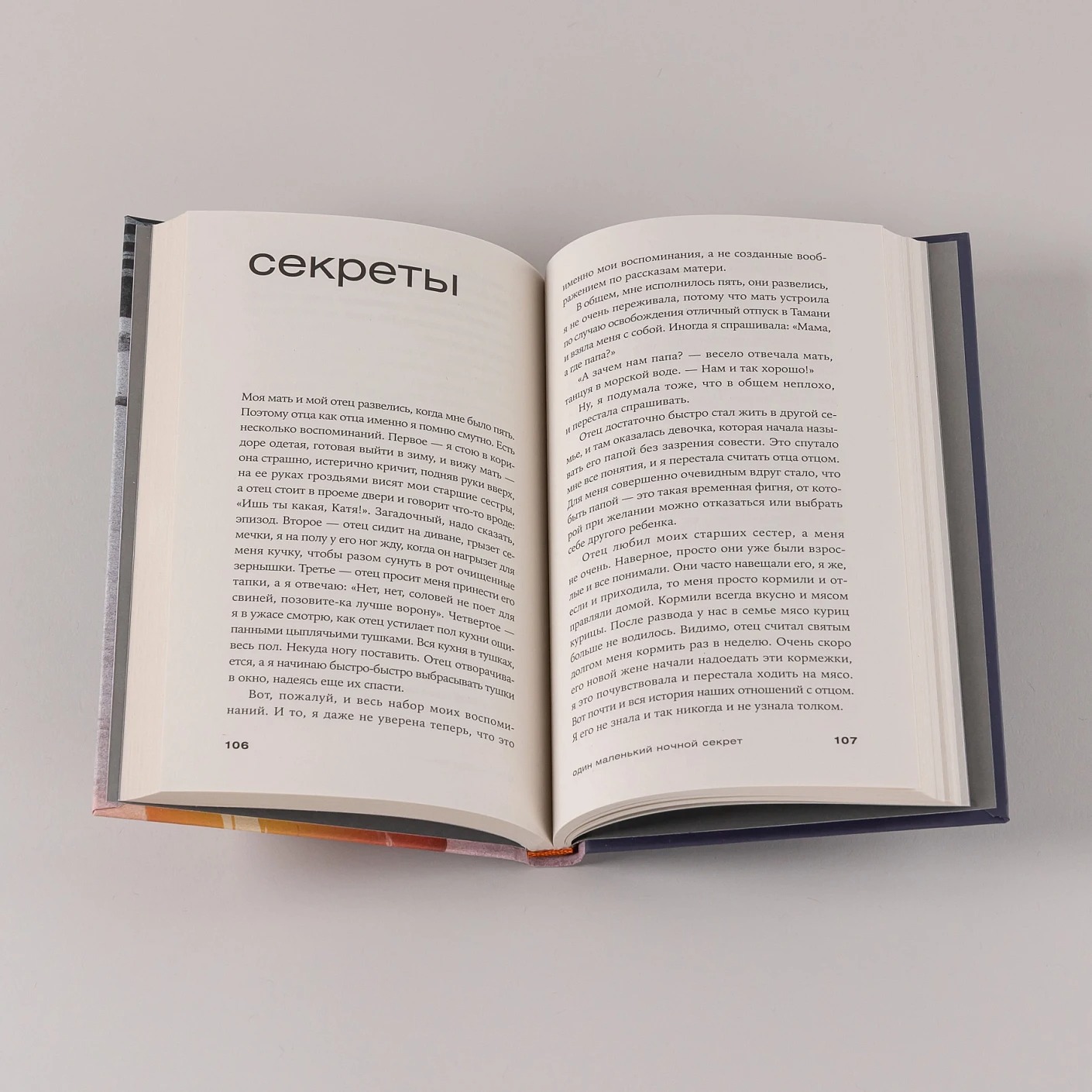 Художественная книга Альпина Один маленький ночной секрет твердая обложка (Мещанинова Наталия) — фото 5